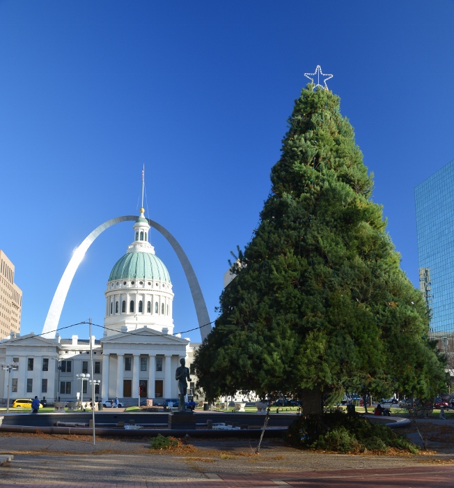 The arch and this year's Christmas tree